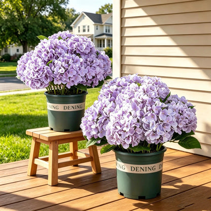 💥Last Day 70% OFF💐Artificial Outdoor Hydrangea Flowers - UV resistant, Waterproof, Windproof